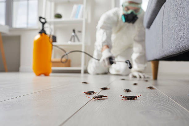 Commercial Kitchen Cockroach Control in Washington Court House